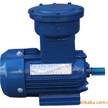 YB2-200L-4隔爆型三相异步电动机（30KW）江苏新大力电机