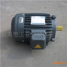 厂家定做非标电机，非标马达