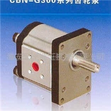 大量出售齿轮泵CBN-G308高质量液压件系统厂