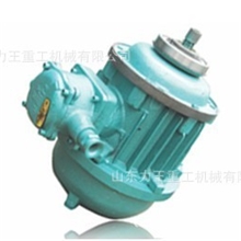 BZD141-4/7.5KW隔爆型锥形转子制动三相异步电机