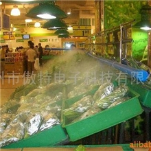 供应蔬菜保鲜机|AOTE