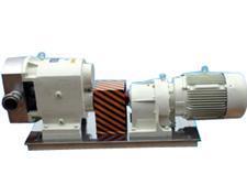 厂家优质供应膏状物泵，肉馅泵厂家直销