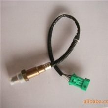 氧传感器标志307