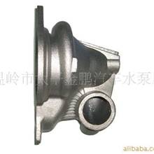 供应汽车水泵壳体铸件035