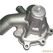 供应汽车水泵壳体铸件017
