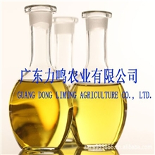 供应大量良姜精油、高良姜精油（徐闻县姜产地厂家研发、自产自销