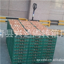 鸡蛋运输托盘,陈列蛋托,