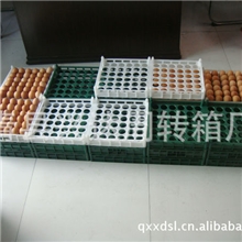 塑料蛋托,塑料鸡蛋托,周转陈列蛋托