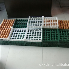 塑料禽蛋周转托盘