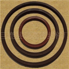 厂家专业定做国标非标骨架油封-油封密封件橡胶油封