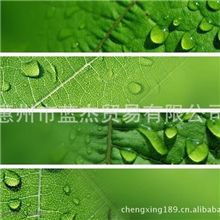 批发汽车玻璃漆面轮毂一体镀膜剂