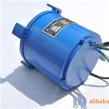 电动观光车浏览车配套大功率直流无刷电机