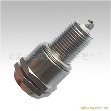 厂家供应铂金火花塞(F7RTP)