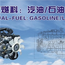 日本制造NISSAN日产发动机总成TB45（双燃料）