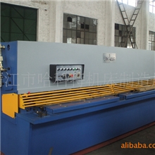 供应液压联合冲剪机数控冲孔机厚板冲孔机厂家直供