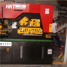 厂家直销液压联合冲剪机双联动联合冲剪机液压冲孔