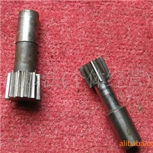 厂家供应锥柄插齿刀规格齐全来图来样定做