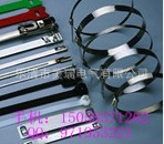 专业生产不锈钢扎带316不锈钢材质喷塑不锈钢扎带