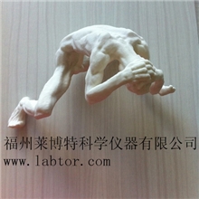 福州莱博特提供三维打印机ZPrinter350