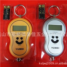 吊钩称葫芦秤买菜钓鱼电子手提称快递包裹秤40kg弹簧挂钩秤厨房秤