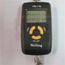 衡之泰电子吊钩秤DS-0645KG*10G电子称电子秤