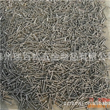 长期供应螺丝螺钉不锈钢螺钉欢迎来电