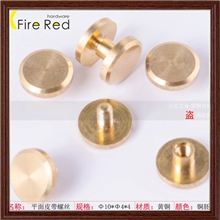 供应常用10X4X4一字平面倒角铜皮带螺丝,帐簿钉,菜谱钉