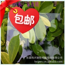 厂家直销白色pc板透明pc板广告灯箱透明PC板价格