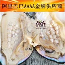 HB-004供应河蚌珍珠河蚌原料珍珠河蚌现场加珍珠河蚌