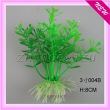 水草/水草批发/水族用品/对鱼无害/水族水草/水族箱水草