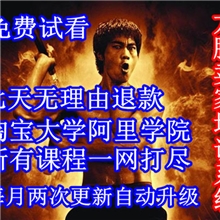 卖家全程培训教程阿里学院淘宝大学讲师教你开网店视频教学软件