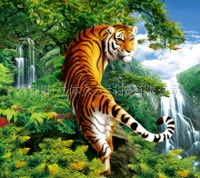 深圳立体久久公司定做3变立体画