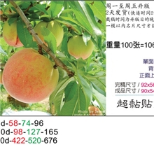 不干胶/彩色印刷/印刷不干胶/水果彩色標籤/亞膜不干膠