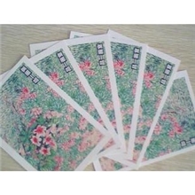 厂家定制明信片贺卡DIY设计250克白卡双面印刷可邮寄明信片