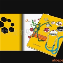 专业提供画册设计包装设计LOGO设计品牌形象整合设计