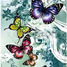 服装热转移印花纸，热转印印花，热升华印花纸，转移印花