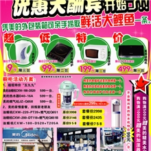 A4宣传单印刷彩页印刷A4彩页157克铜版纸彩页单张