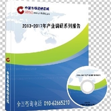 2013-2017年中国轮胎行业市场投资可行性研究报告（精编版）