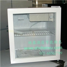 白雪冰柜SC-50小冰箱立式展柜冷藏柜冰箱商用冰箱展示柜冰箱