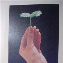 萦菲超感纸、高感艺术纸,卷筒超感纸、特规超感纸