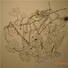 供应进口国产卡纸象牙卡纸本白卡纸