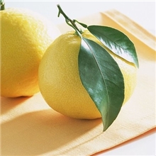 供应优质天然果胶果胶粉果胶批发