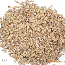 供应进口澳大利亚大麦芽