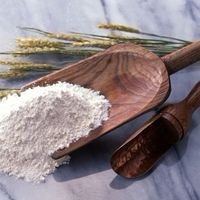 供应【小麦谷元粉食品级】含量99%