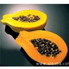 木瓜蛋白酶专业供应商天然酶制剂质量good