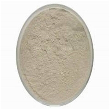 长期供应阿拉伯半乳聚糖食品级松胶河北百味专供