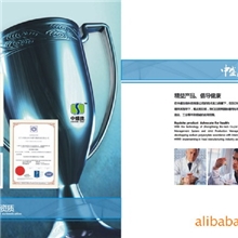 华南广东江门地区最大的聚丙烯酸钠食品添加剂生产厂家企业中盛佳