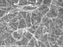 掺氮石墨化多壁碳纳米管