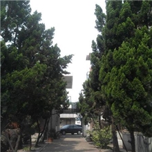 诚招分散剂代理