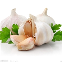 生产供应兽药/饲料添加剂杀菌抑菌大蒜素25%绿色环保